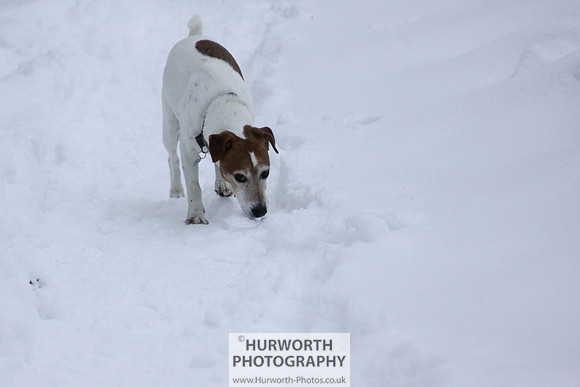 Snow 106