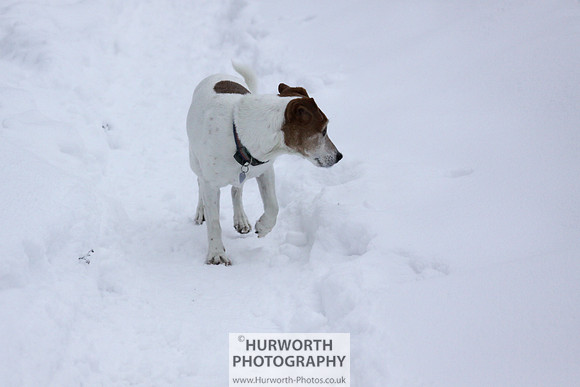 Snow 107