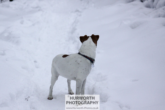 Snow 108