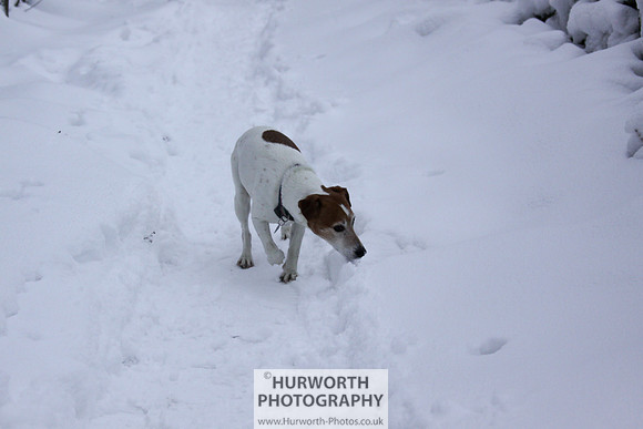 Snow 109