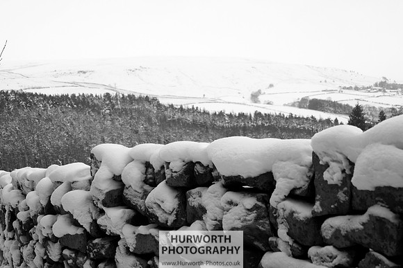 Snow 110
