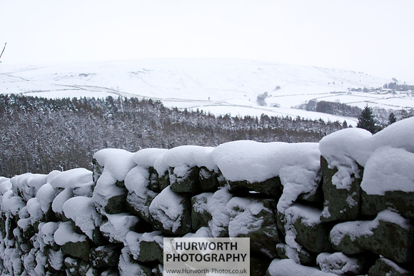 Snow 111