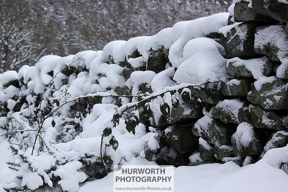 Snow 115