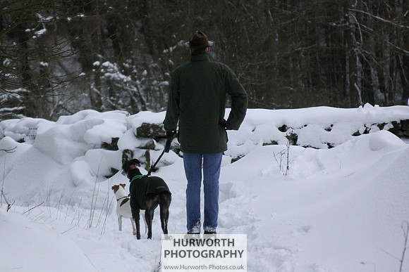 Snow 116