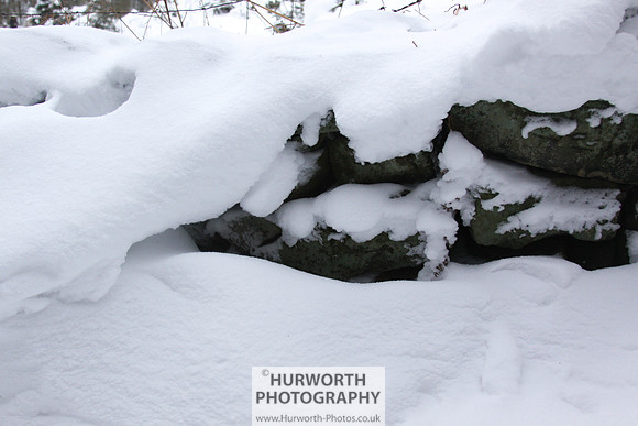 Snow 119