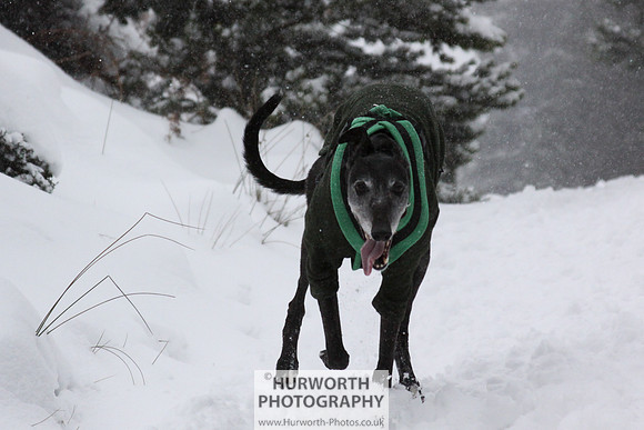 Snow 002