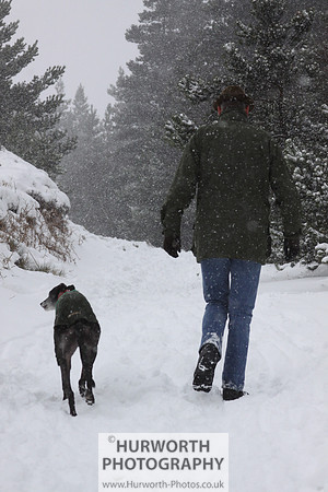 Snow 004