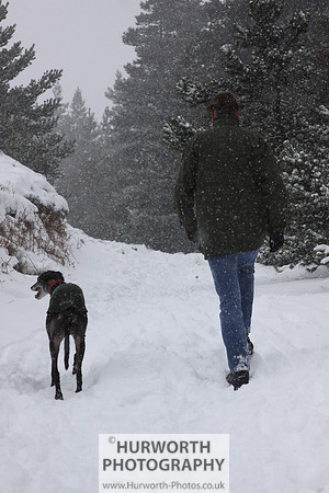 Snow 005