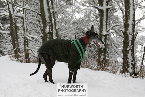 Snow 012