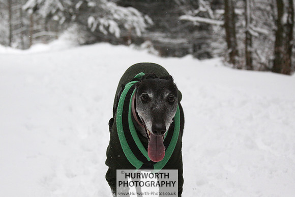 Snow 018