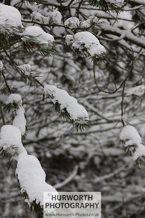 Snow 021