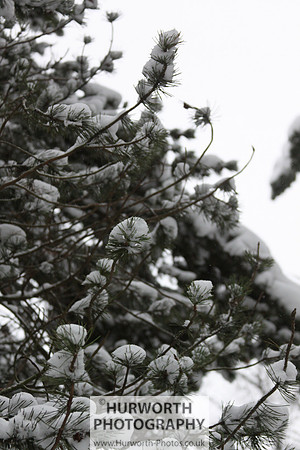 Snow 022