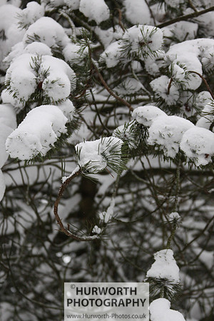 Snow 023