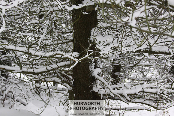 Snow 025
