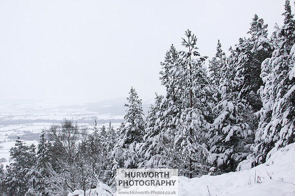 Snow 027