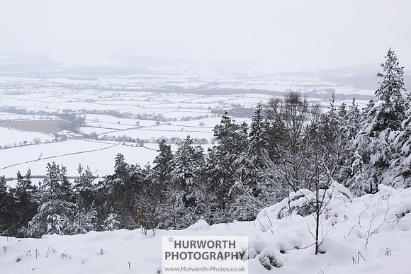 Snow 028