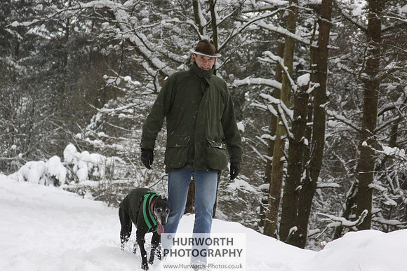 Snow 030