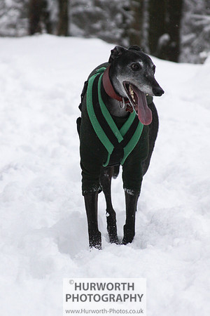 Snow 032