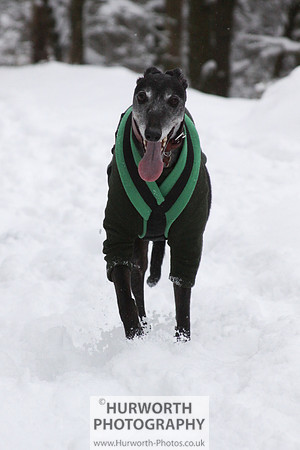 Snow 033
