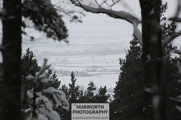 Snow 034