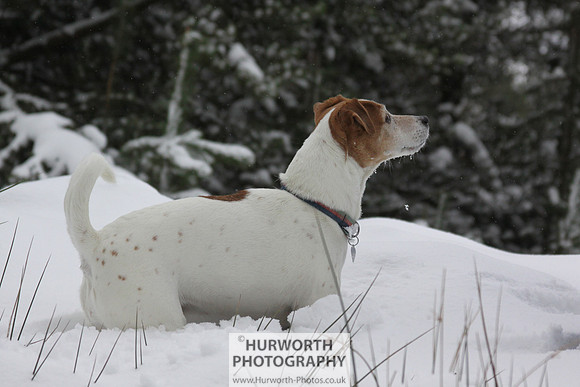 Snow 035