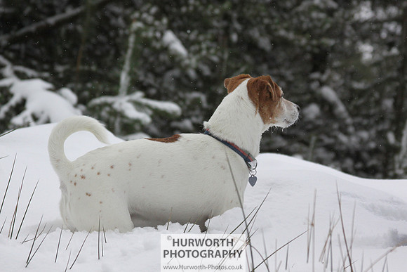 Snow 036