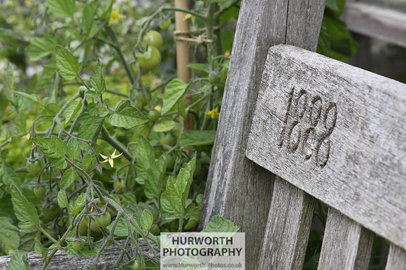 RHS Harlow Carr 041