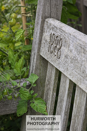 RHS Harlow Carr 042