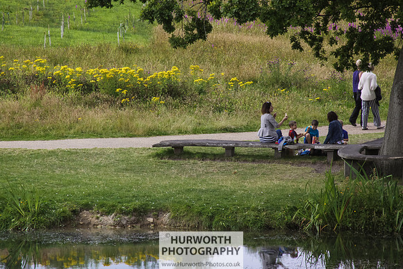 RHS Harlow Carr 050