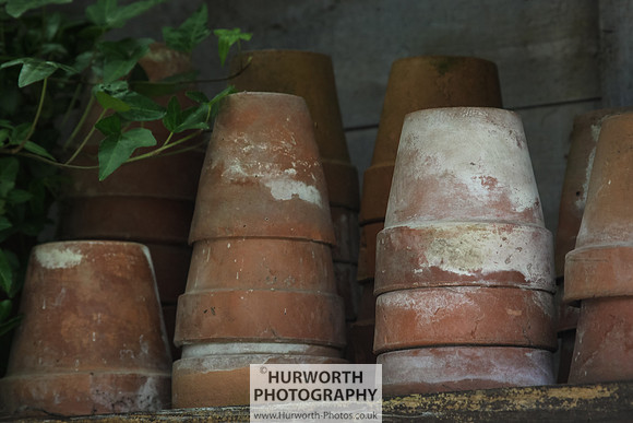 RHS Harlow Carr 052