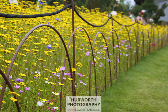 RHS Harlow Carr 074