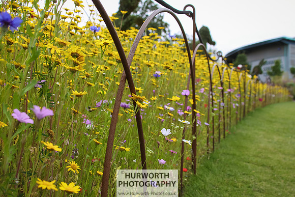 RHS Harlow Carr 075