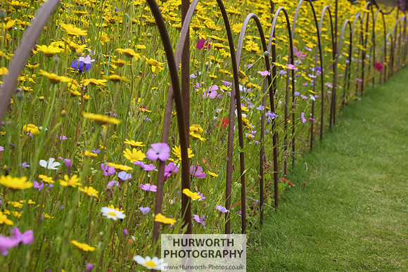 RHS Harlow Carr 076