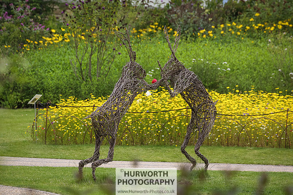 RHS Harlow Carr 085