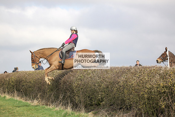 Hurworth Hunt Hedge Hop 039