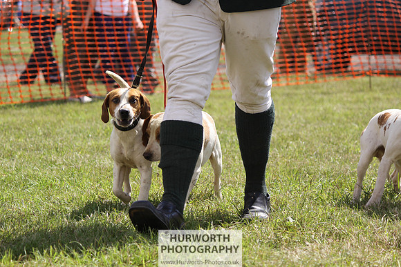 Sedgefield Game Fair 020