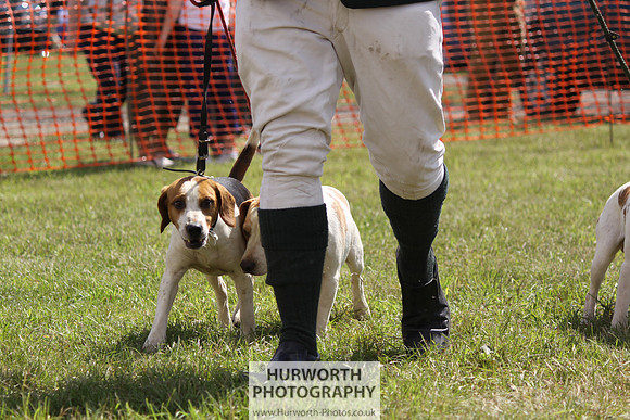 Sedgefield Game Fair 021