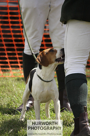 Sedgefield Game Fair 035