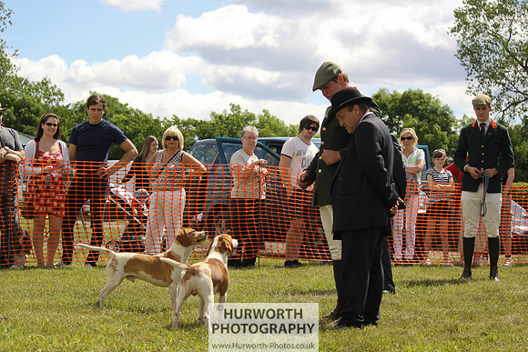 Sedgefield Game Fair 054