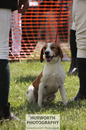 Sedgefield Game Fair 079
