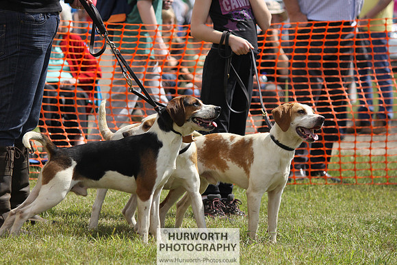 Sedgefield Game Fair 087
