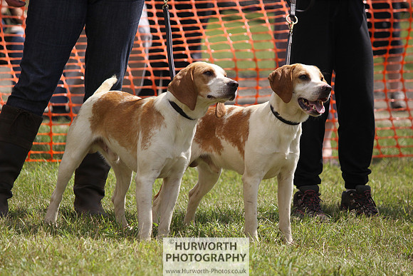 Sedgefield Game Fair 090