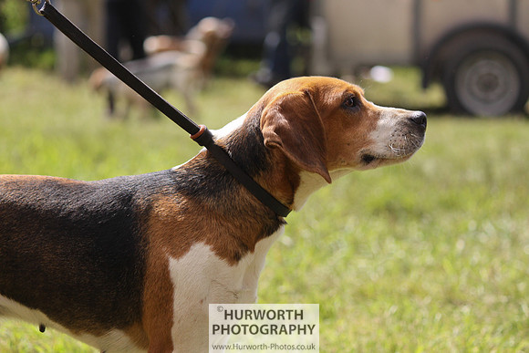 Sedgefield Game Fair 101
