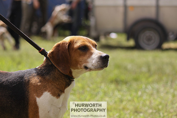 Sedgefield Game Fair 102
