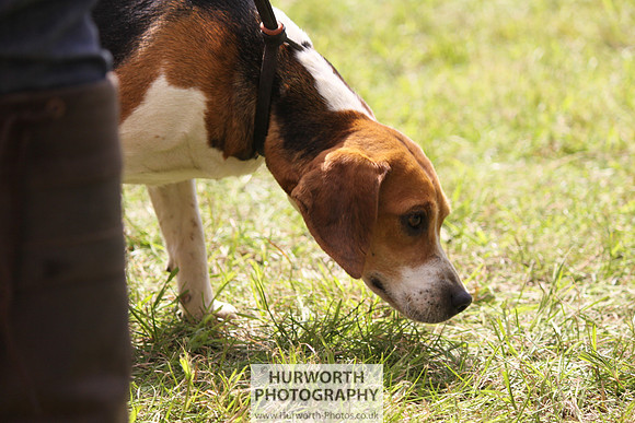 Sedgefield Game Fair 103