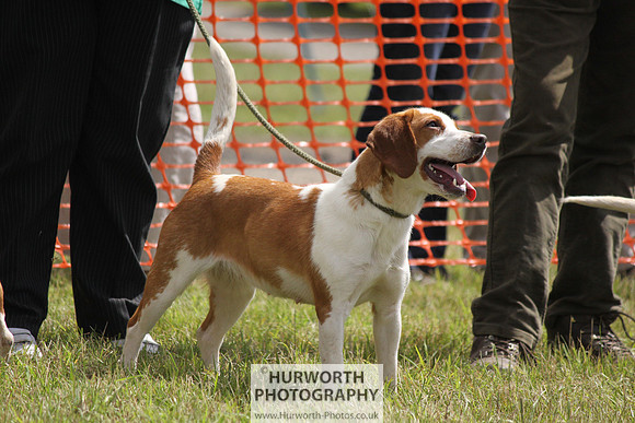 Sedgefield Game Fair 107