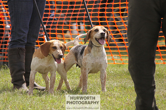 Sedgefield Game Fair 108