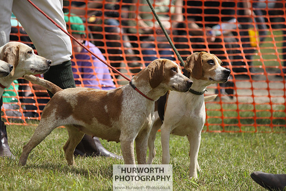 Sedgefield Game Fair 117