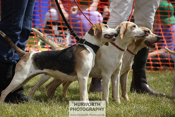 Sedgefield Game Fair 120