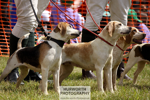 Sedgefield Game Fair 122